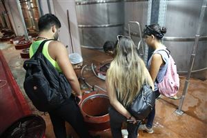 /Gallery/Events/ChateauKefraya/Pic 7.jpg